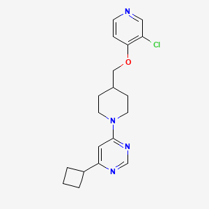 molecular formula C19H23ClN4O B6444865 4-(4-{[(3-chloropyridin-4-yl)oxy]methyl}piperidin-1-yl)-6-cyclobutylpyrimidine CAS No. 2549052-60-8