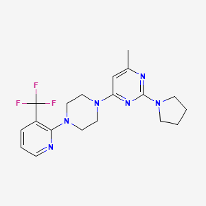 molecular formula C19H23F3N6 B6445615 4-methyl-2-(pyrrolidin-1-yl)-6-{4-[3-(trifluoromethyl)pyridin-2-yl]piperazin-1-yl}pyrimidine CAS No. 2549019-46-5