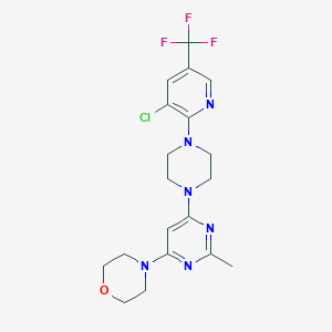 molecular formula C19H22ClF3N6O B6446257 4-(6-{4-[3-chloro-5-(trifluoromethyl)pyridin-2-yl]piperazin-1-yl}-2-methylpyrimidin-4-yl)morpholine CAS No. 2640961-82-4