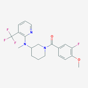 N-[1-(3-fluoro-4-methoxybenzoyl)piperidin-3-yl]-N-methyl-3-(trifluoromethyl)pyridin-2-amine