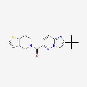 2-tert-butyl-6-{4H,5H,6H,7H-thieno[3,2-c]pyridine-5-carbonyl}imidazo[1,2-b]pyridazine