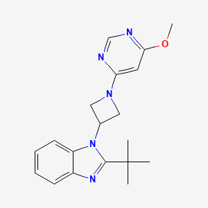 molecular formula C19H23N5O B6459150 2-tert-butyl-1-[1-(6-methoxypyrimidin-4-yl)azetidin-3-yl]-1H-1,3-benzodiazole CAS No. 2548996-56-9