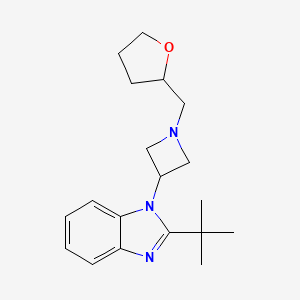 molecular formula C19H27N3O B6460705 2-tert-butyl-1-{1-[(oxolan-2-yl)methyl]azetidin-3-yl}-1H-1,3-benzodiazole CAS No. 2549026-67-5