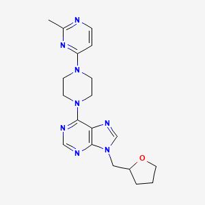 6-[4-(2-methylpyrimidin-4-yl)piperazin-1-yl]-9-[(oxolan-2-yl)methyl]-9H-purine