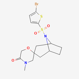 molecular formula C15H19BrN2O4S2 B6468985 8-[(5-bromothiophen-2-yl)sulfonyl]-4'-methyl-8-azaspiro[bicyclo[3.2.1]octane-3,2'-morpholin]-5'-one CAS No. 2640814-14-6