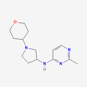 molecular formula C14H22N4O B6469730 2-methyl-N-[1-(oxan-4-yl)pyrrolidin-3-yl]pyrimidin-4-amine CAS No. 2640978-37-4