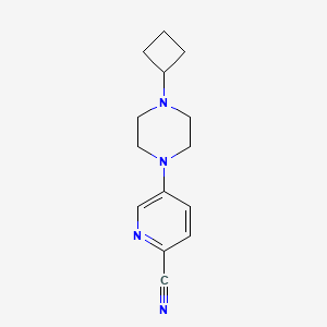 molecular formula C14H18N4 B6469753 5-(4-cyclobutylpiperazin-1-yl)pyridine-2-carbonitrile CAS No. 2640846-65-5