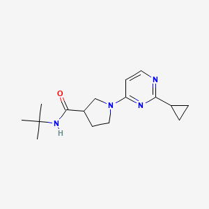 N-tert-butyl-1-(2-cyclopropylpyrimidin-4-yl)pyrrolidine-3-carboxamide