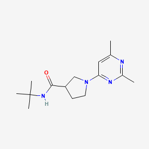 molecular formula C15H24N4O B6469846 N-tert-butyl-1-(2,6-dimethylpyrimidin-4-yl)pyrrolidine-3-carboxamide CAS No. 2640898-57-1