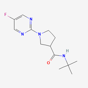 molecular formula C13H19FN4O B6469858 N-tert-butyl-1-(5-fluoropyrimidin-2-yl)pyrrolidine-3-carboxamide CAS No. 2640896-86-0