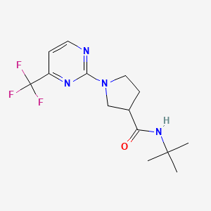 molecular formula C14H19F3N4O B6469865 N-tert-butyl-1-[4-(trifluoromethyl)pyrimidin-2-yl]pyrrolidine-3-carboxamide CAS No. 2640961-16-4