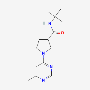 molecular formula C14H22N4O B6469880 N-tert-butyl-1-(6-methylpyrimidin-4-yl)pyrrolidine-3-carboxamide CAS No. 2640970-81-4