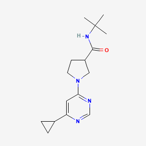 N-tert-butyl-1-(6-cyclopropylpyrimidin-4-yl)pyrrolidine-3-carboxamide