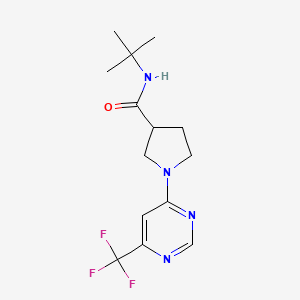 molecular formula C14H19F3N4O B6469900 N-tert-butyl-1-[6-(trifluoromethyl)pyrimidin-4-yl]pyrrolidine-3-carboxamide CAS No. 2640896-99-5