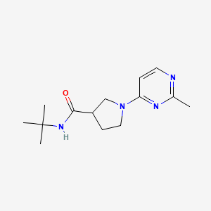 molecular formula C14H22N4O B6469908 N-tert-butyl-1-(2-methylpyrimidin-4-yl)pyrrolidine-3-carboxamide CAS No. 2640970-95-0