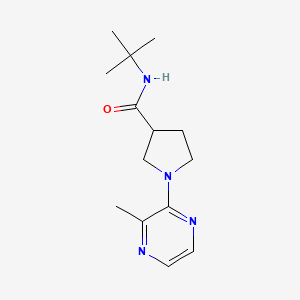 N-tert-butyl-1-(3-methylpyrazin-2-yl)pyrrolidine-3-carboxamide