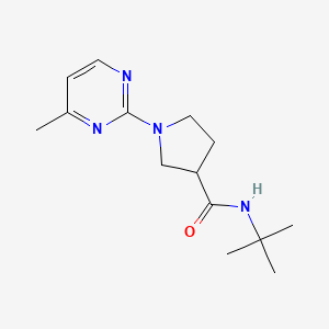 N-tert-butyl-1-(4-methylpyrimidin-2-yl)pyrrolidine-3-carboxamide