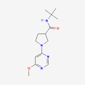 molecular formula C14H22N4O2 B6469941 N-tert-butyl-1-(6-methoxypyrimidin-4-yl)pyrrolidine-3-carboxamide CAS No. 2640898-77-5