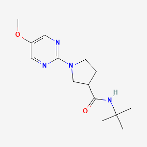 molecular formula C14H22N4O2 B6469953 N-tert-butyl-1-(5-methoxypyrimidin-2-yl)pyrrolidine-3-carboxamide CAS No. 2640961-19-7