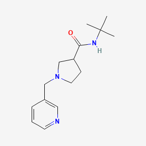 molecular formula C15H23N3O B6469968 N-tert-butyl-1-[(pyridin-3-yl)methyl]pyrrolidine-3-carboxamide CAS No. 2640953-51-9