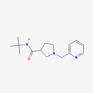 molecular formula C15H23N3O B6469974 N-tert-butyl-1-[(pyridin-2-yl)methyl]pyrrolidine-3-carboxamide CAS No. 2640898-11-7