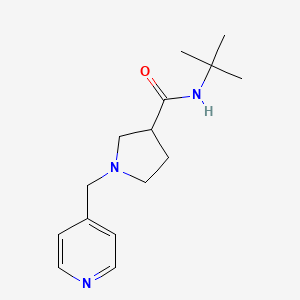 N-tert-butyl-1-[(pyridin-4-yl)methyl]pyrrolidine-3-carboxamide