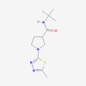 N-tert-butyl-1-(5-methyl-1,3,4-thiadiazol-2-yl)pyrrolidine-3-carboxamide