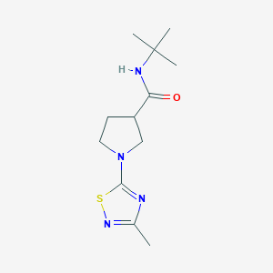 N-tert-butyl-1-(3-methyl-1,2,4-thiadiazol-5-yl)pyrrolidine-3-carboxamide