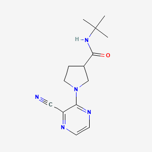 N-tert-butyl-1-(3-cyanopyrazin-2-yl)pyrrolidine-3-carboxamide