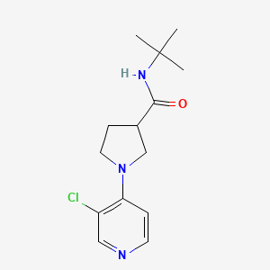 N-tert-butyl-1-(3-chloropyridin-4-yl)pyrrolidine-3-carboxamide