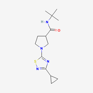 N-tert-butyl-1-(3-cyclopropyl-1,2,4-thiadiazol-5-yl)pyrrolidine-3-carboxamide