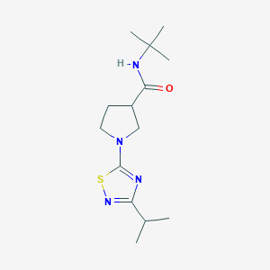 N-tert-butyl-1-[3-(propan-2-yl)-1,2,4-thiadiazol-5-yl]pyrrolidine-3-carboxamide