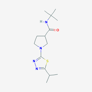 molecular formula C14H24N4OS B6470108 N-tert-butyl-1-[5-(propan-2-yl)-1,3,4-thiadiazol-2-yl]pyrrolidine-3-carboxamide CAS No. 2640834-88-2