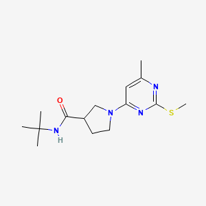 N-tert-butyl-1-[6-methyl-2-(methylsulfanyl)pyrimidin-4-yl]pyrrolidine-3-carboxamide