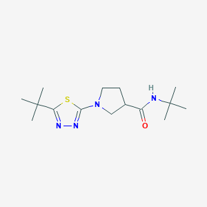 N-tert-butyl-1-(5-tert-butyl-1,3,4-thiadiazol-2-yl)pyrrolidine-3-carboxamide