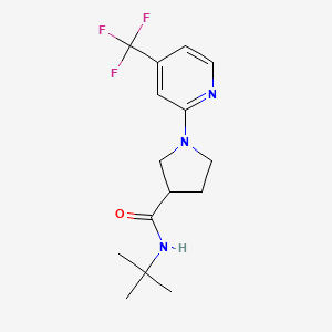 N-tert-butyl-1-[4-(trifluoromethyl)pyridin-2-yl]pyrrolidine-3-carboxamide