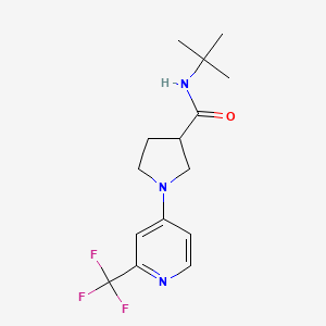 N-tert-butyl-1-[2-(trifluoromethyl)pyridin-4-yl]pyrrolidine-3-carboxamide