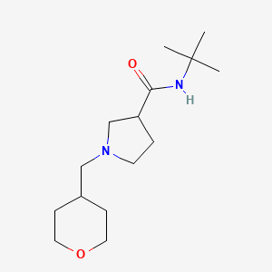 N-tert-butyl-1-[(oxan-4-yl)methyl]pyrrolidine-3-carboxamide