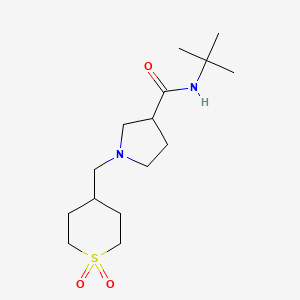 N-tert-butyl-1-[(1,1-dioxo-1lambda6-thian-4-yl)methyl]pyrrolidine-3-carboxamide