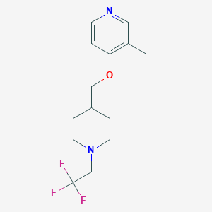 3-methyl-4-{[1-(2,2,2-trifluoroethyl)piperidin-4-yl]methoxy}pyridine