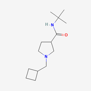 N-tert-butyl-1-(cyclobutylmethyl)pyrrolidine-3-carboxamide