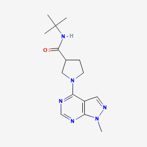 N-tert-butyl-1-{1-methyl-1H-pyrazolo[3,4-d]pyrimidin-4-yl}pyrrolidine-3-carboxamide