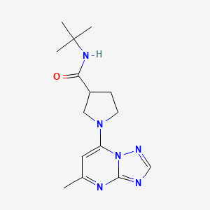 N-tert-butyl-1-{5-methyl-[1,2,4]triazolo[1,5-a]pyrimidin-7-yl}pyrrolidine-3-carboxamide