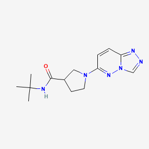 N-tert-butyl-1-{[1,2,4]triazolo[4,3-b]pyridazin-6-yl}pyrrolidine-3-carboxamide