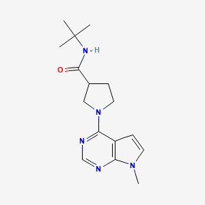 molecular formula C16H23N5O B6470503 N-tert-butyl-1-{7-methyl-7H-pyrrolo[2,3-d]pyrimidin-4-yl}pyrrolidine-3-carboxamide CAS No. 2640976-18-5