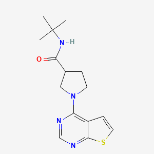 N-tert-butyl-1-{thieno[2,3-d]pyrimidin-4-yl}pyrrolidine-3-carboxamide