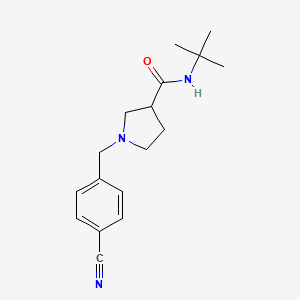 N-tert-butyl-1-[(4-cyanophenyl)methyl]pyrrolidine-3-carboxamide