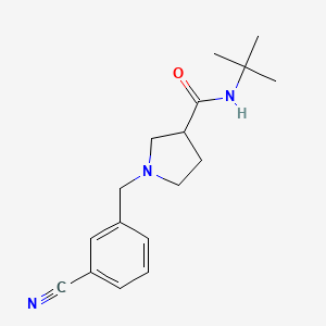 molecular formula C17H23N3O B6470511 N-tert-butyl-1-[(3-cyanophenyl)methyl]pyrrolidine-3-carboxamide CAS No. 2640955-31-1