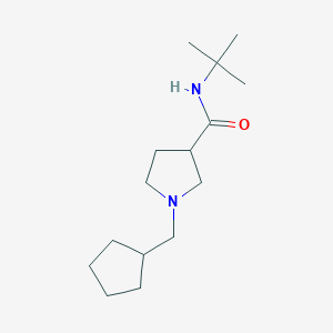 N-tert-butyl-1-(cyclopentylmethyl)pyrrolidine-3-carboxamide