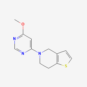 molecular formula C12H13N3OS B6470682 4-methoxy-6-{4H,5H,6H,7H-thieno[3,2-c]pyridin-5-yl}pyrimidine CAS No. 2640889-22-9